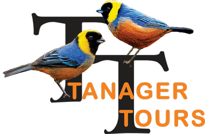 tanager tourism
