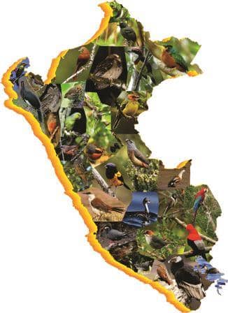 Peruvian birdwatching peru map
